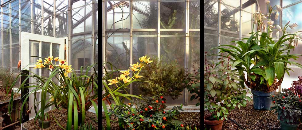 Seasonal Display Panorama